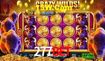 277Bet Salvador - Football